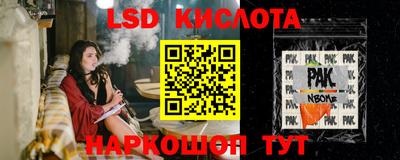 гашик Канаш