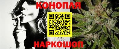 Альфа ПВП Кандалакша