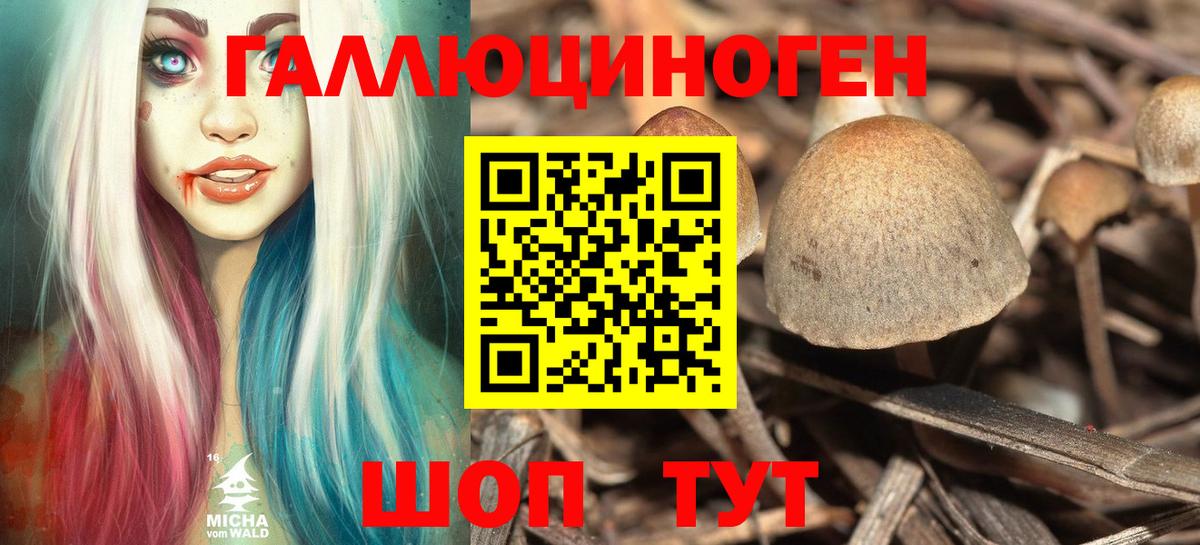 Псилоцибиновые грибы MAGIC MUSHROOMS Лысьва